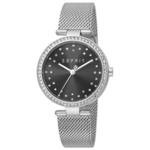 Esprit ES1L199M0045 Grey Mesh Strap Black Dial Women's Watch