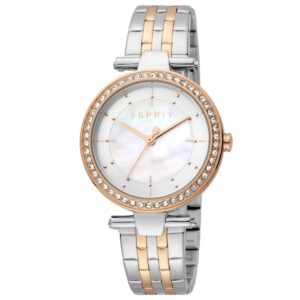 Esprit ES1L153M2065 Women's Watch